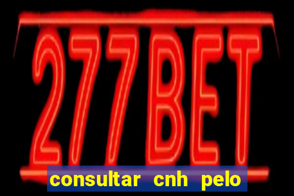 consultar cnh pelo cpf sp